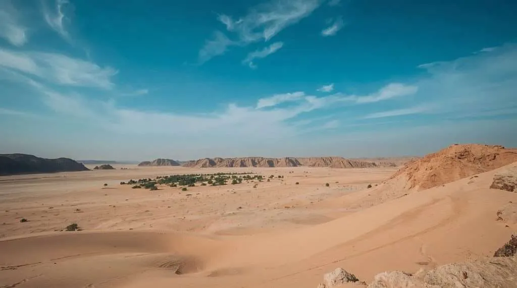 Expansive Algerian desert landscape with sand dunes in the foreground, sparse greenery, and distant rocky hills under a clear blue sky with wispy clouds.