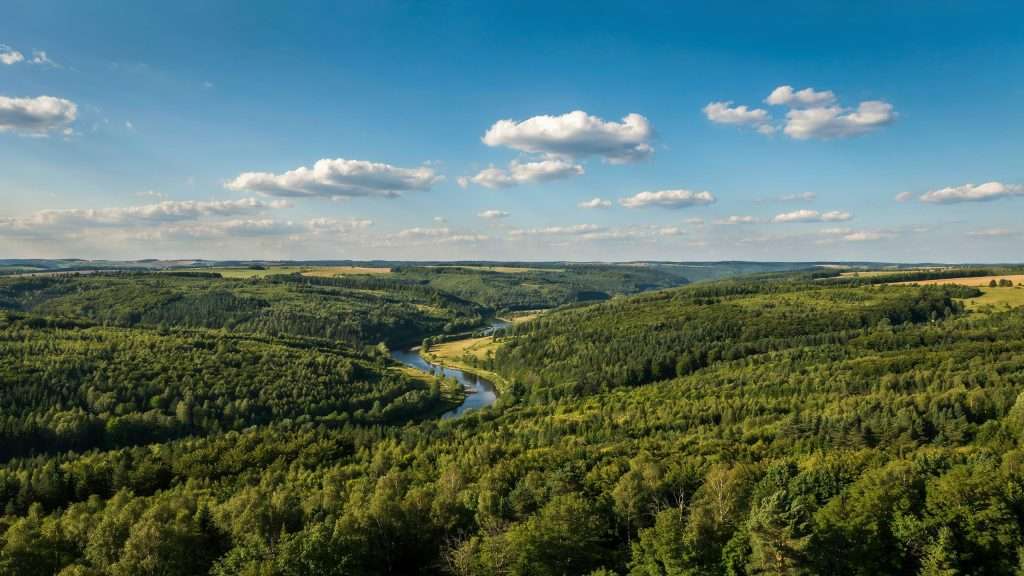 A winding river through dense green forest in Belarus.