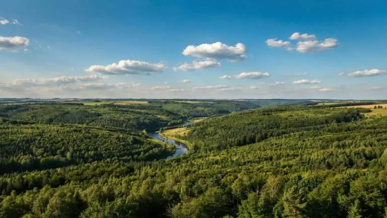 A winding river through dense green forest in Belarus.