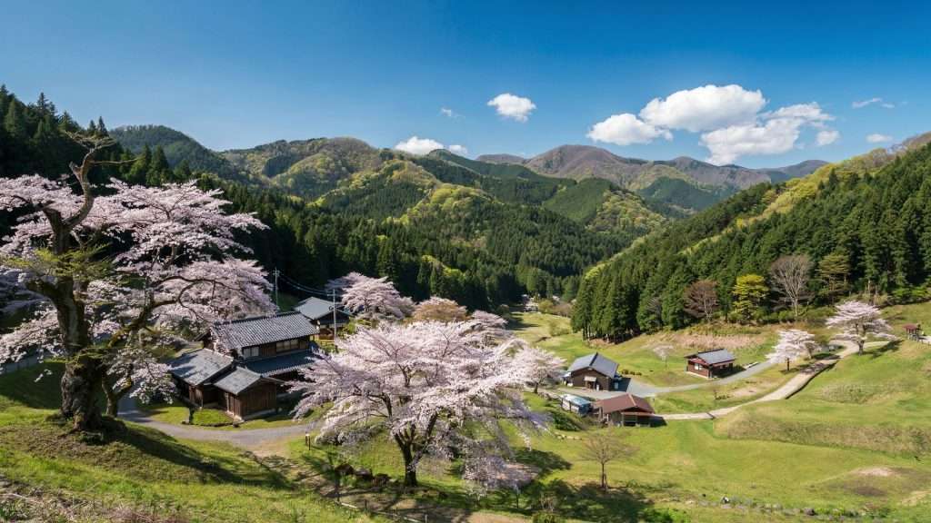Cherry blossoms and houses in a green mountain valley in Japan.