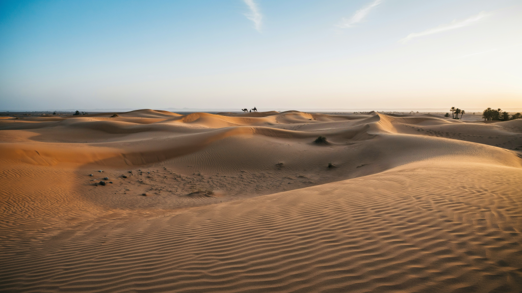 Sand dunes stretch across a desert landscape in Saudi Arabia.