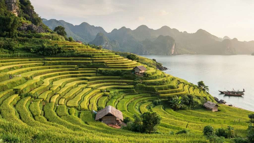 Terraced green hills beside a calm bay in Vietnam.