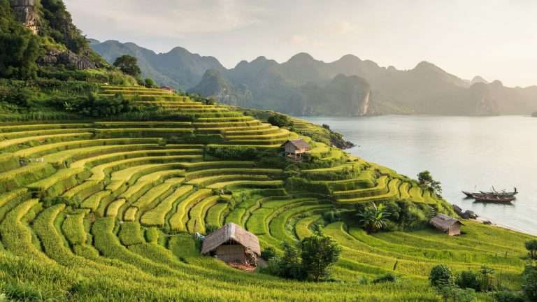 Terraced green hills beside a calm bay in Vietnam.