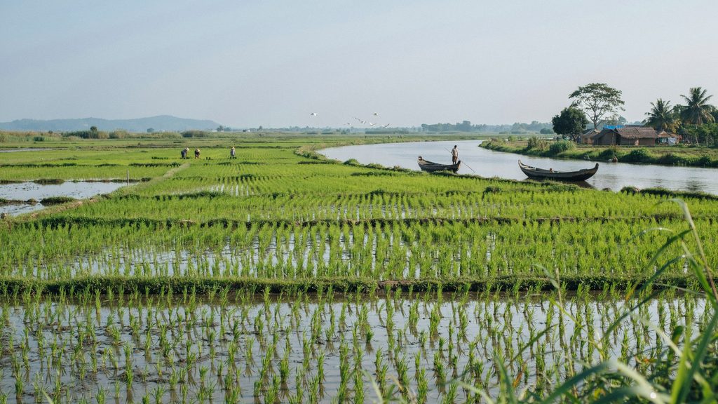 Flooded rice fields with small boats in Bangladesh.
