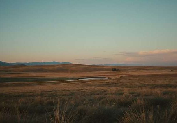 Flat grassland with a small water body under a clear sky in Kazakhstan.